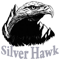 Silver-Hawk