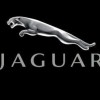 jaguar113