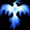 blue___phoenix